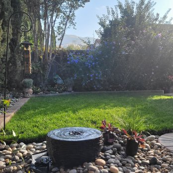 Swanson's Landscaping - After: Backyard with fountain, edgers, and sod - Landscaping Near Me