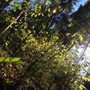 Photo of Farbach-Werner Nature Preserve