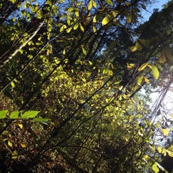 Farbach-Werner Nature Preserve