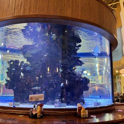 Shark Pit Bar & Grill