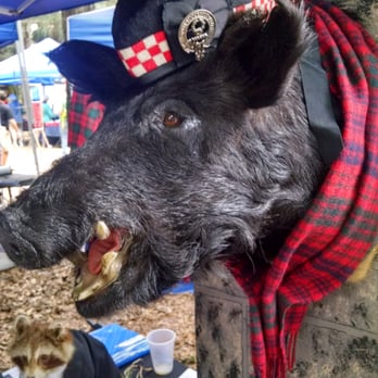 Scottish Highland Games - Festivals Near Me - Winter Springs, Florida