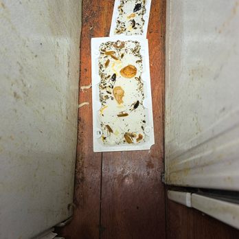 Rodent Proof - Pest Control Near Me - Corona, California Rodent Proof - Pest Control Near Me - Corona, California