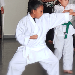 Scorpius Martial Arts