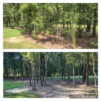 Stone Valley Landscapes - Got rid of weeds, broken branches, failing trees etc. - Landscaping Near Me Stone Valley Landscapes - Got rid of weeds, broken branches, failing trees etc. - Landscaping Near Me