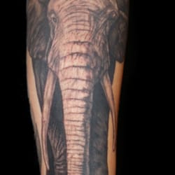 Cap City Tattoo Co. - Elephant Tattoo by Alli MacGregor