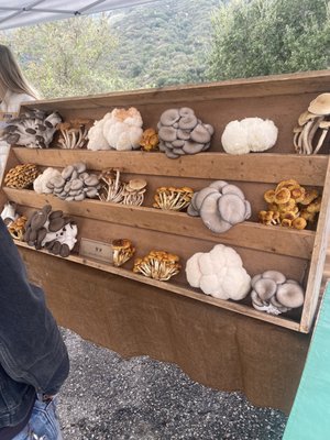 Topanga Farmers Market by null