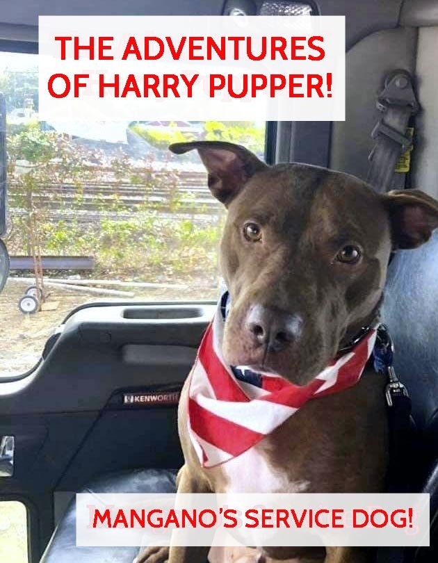 Slide of Mangano Plumbing Sewer & Drain