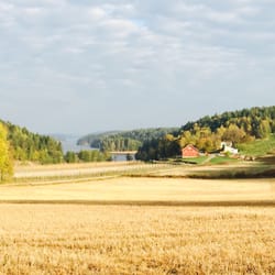 Hukeberg Rundt - View towards the lake Vannsjø, showing the little farm Borgebunn where local, ecologic apples are grown!