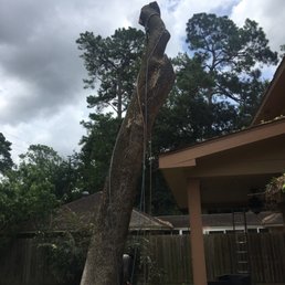 Canopy safely removed and on to the difficult task of the heavy trunk