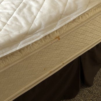 Nordic Village Resort - Stains on bed. - Resorts Near Me - Jackson, New Hampshire