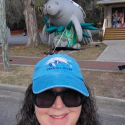 Florida Manatee Festival