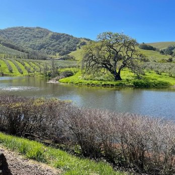 McEvoy Ranch - Wine Tasting Room Near Me - Petaluma, California