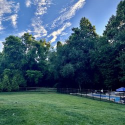 Burke Lawn Care - After 3 years of the program