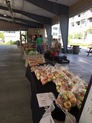 Farmers Market of the Ozarks by null