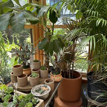 Pistils Nursery - Nurseries & Gardening Near Me - Portland, Oregon Pistils Nursery - Nurseries & Gardening Near Me - Portland, Oregon