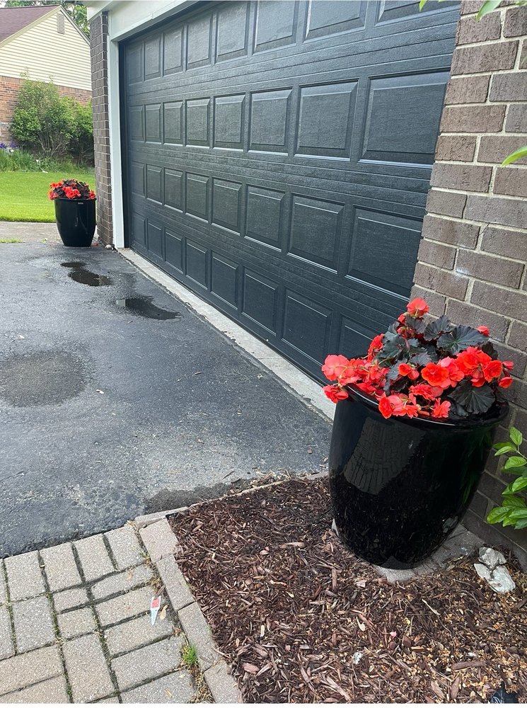 SPROUTS OF FENTON Updated September 2024 2398 Grange Hall Rd, Fenton, Michigan Nurseries