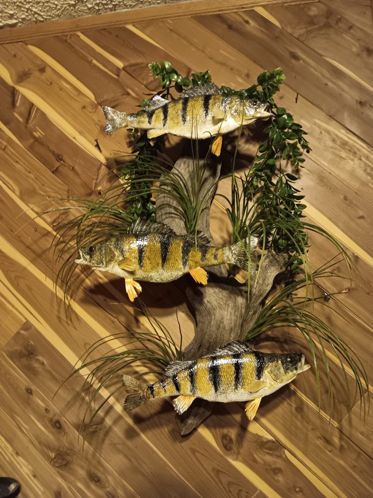 True To Nature Taxidermy - taxidermy in Palmyra, NY