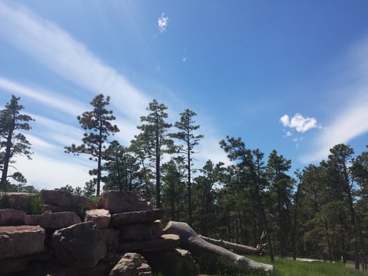 Bear Country USA by null