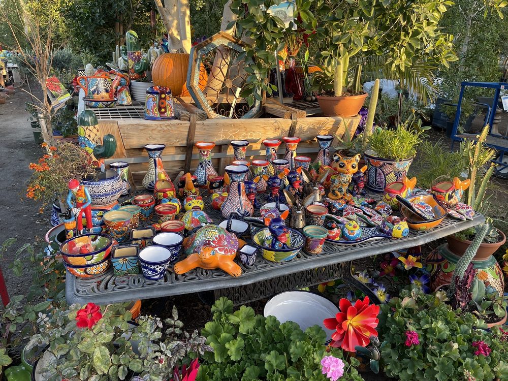 WHITFILL NURSERIES Updated September 2024 48 Photos & 78 Reviews