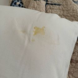 Disgusting pillow stain of God knows what when I went to go to bed.