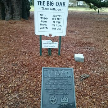 The Big Oak - Landmarks & Historical Buildings Near Me - Thomasville, Georgia