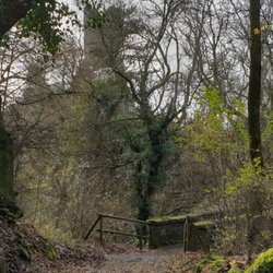 Burgruine Bosselstein - Bergfried und Zugang zur Burgruine