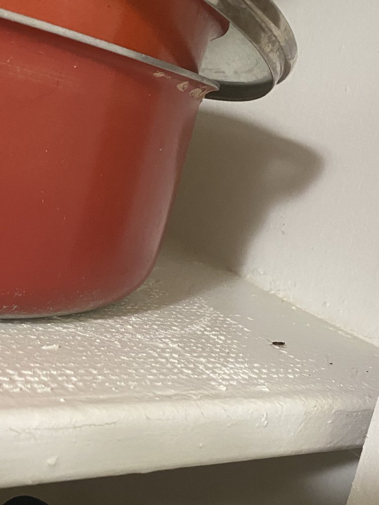 Dorchester House - property management company in Washington, DC, DC