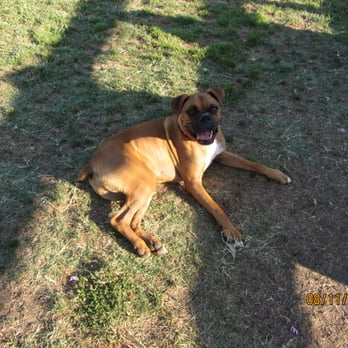 Redhawk Community Park - Dog Parks Near Me - Temecula, California Redhawk Community Park - Dog Parks Near Me - Temecula, California
