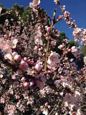 Parque de la Quinta de los Molinos by null