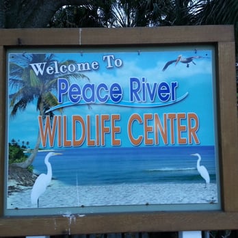 Peace River Wildlife Center - Welcome sign to center. - Animal Shelters Near Me - Punta Gorda, Florida Peace River Wildlife Center - Welcome sign to center. - Animal Shelters Near Me - Punta Gorda, Florida