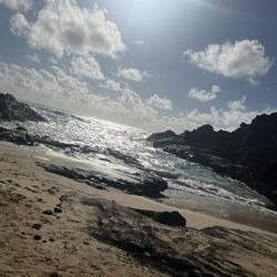 Cockroach Cove