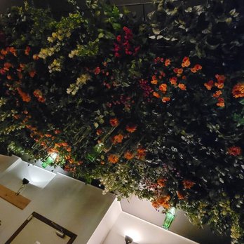 Chemistry & Botanic's - Lovely little spot, with a floral ceiling. - Cocktail Bars Near Me - Brussels, BRU Chemistry & Botanic's - Lovely little spot, with a floral ceiling. - Cocktail Bars Near Me - Brussels, BRU