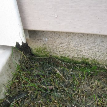 Baxter Lawn Care Management - corner guard damaged by blade - Landscaping Near Me - Whitsett, North Carolina Baxter Lawn Care Management - corner guard damaged by blade - Landscaping Near Me - Whitsett, North Carolina