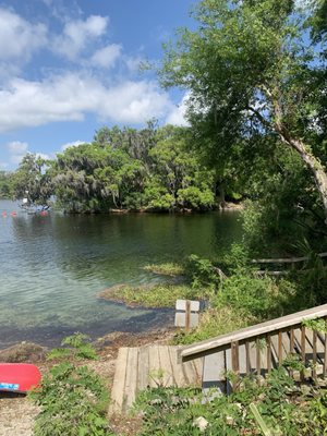 Blue Spring Adventures by null