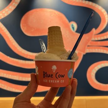 Blue Cow Ice Cream - cereal milk flavor - Ice Cream & Frozen Yogurt Near Me - Virginia Beach, Virginia Blue Cow Ice Cream - cereal milk flavor - Ice Cream & Frozen Yogurt Near Me - Virginia Beach, Virginia