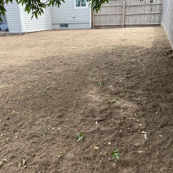 3A Lawn Care - a freshly mowed lawn - Landscaping Near Me
