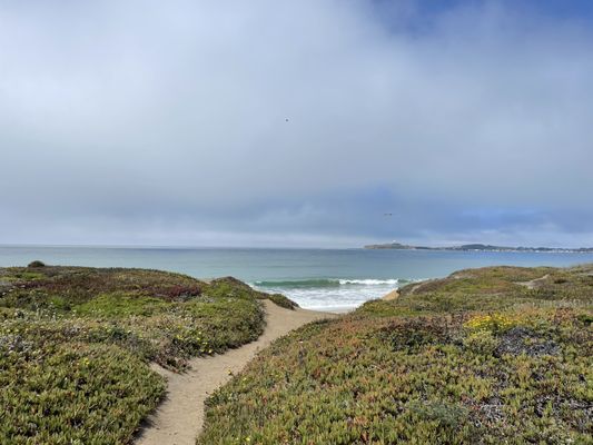 Dunes Beach by null