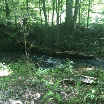 Lee Falls Trailhead - Hiking Near Me - Tamassee, South Carolina