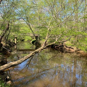 Medoc Mountain State Park - Little fishing Creek - Parks Near Me - Hollister, North Carolina