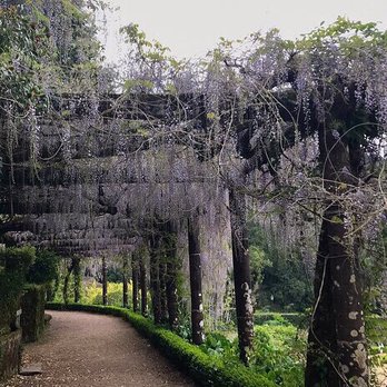 Bussaco Palace - Garden - Hotels Near Me - Mata do Bussaco, 01 Bussaco Palace - Garden - Hotels Near Me - Mata do Bussaco, 01