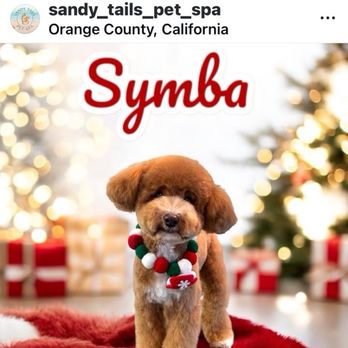 Sandy Tails Pet Spa - Pet Groomers Near Me - Costa Mesa, California
