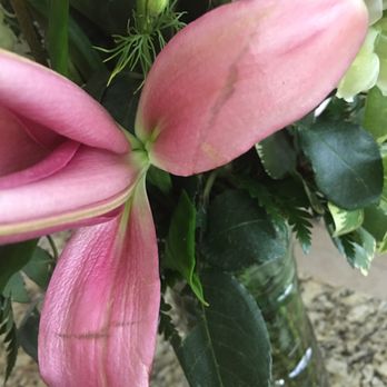 Oviedo Beautiful Flowers - Florists Near Me - Oviedo, Florida
