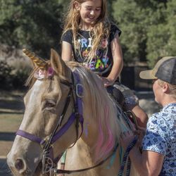 100 Acre Wood Horse Farm - Pony parties! Come meet the Unicorns.