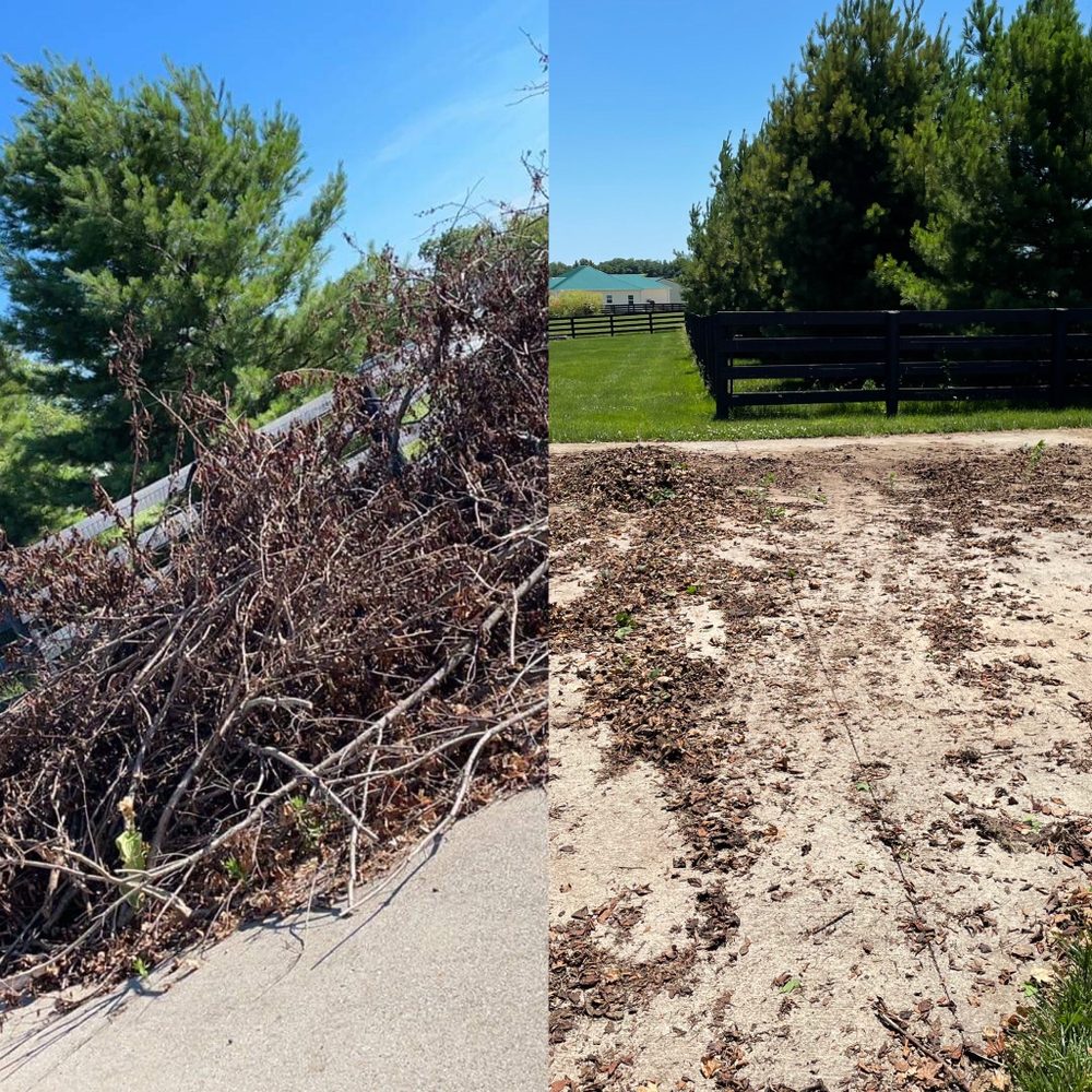 MULLINS SERVICES Updated August 2024 17 Photos Shelbyville