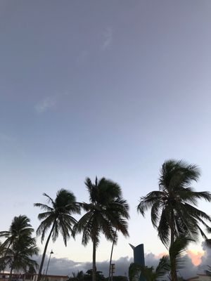 Luquillo Sunrise Beach Inn by null