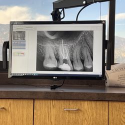The Ivy Institute - Dental Specialists and Pain Management