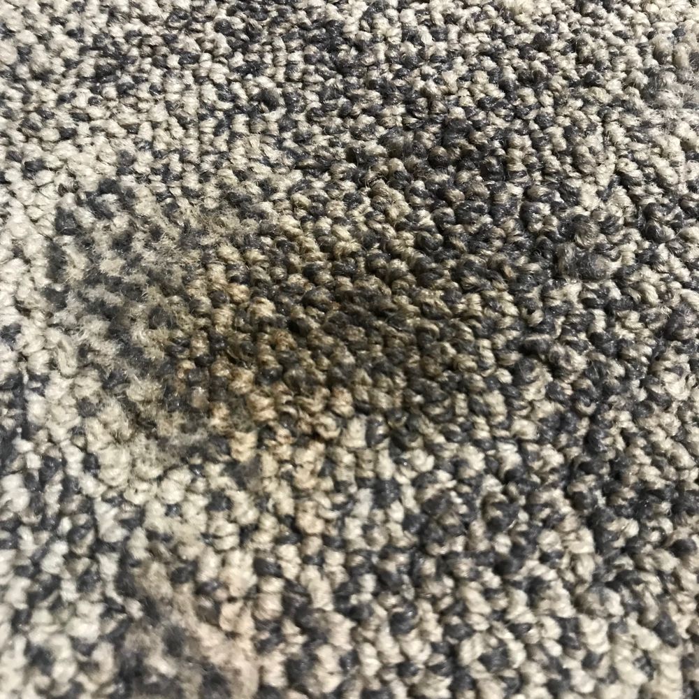 Rich's Carpet Cleaning Plus - Carpet Cleaning Near Me - Pleasant Grove, Utah Rich's Carpet Cleaning Plus - Carpet Cleaning Near Me - Pleasant Grove, Utah