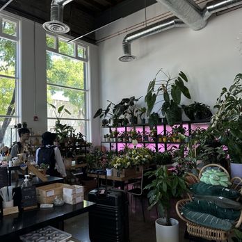 Bloomsgiving - Florists Near Me - Mountain View, California