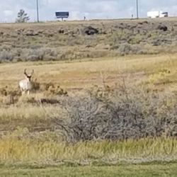 Rochelle Ranch Golf Course