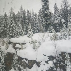 Hibernation House